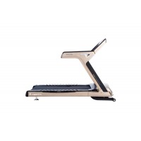 Беговая дорожка inSPORTline Gardian G12