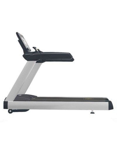 Бігова доріжка професійна Fitex RT970-22
